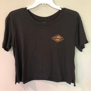 Vintage Logo Cropped Tee (Grey, Bronze)